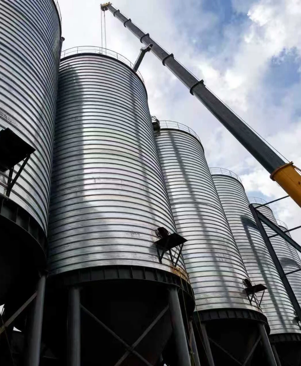 Egypt 6×800m³ Gypsum Powder Silos Project
